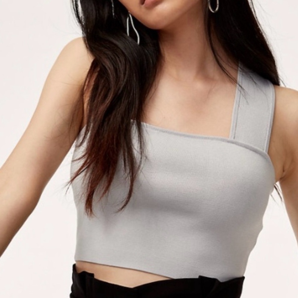 Aritzia Babaton Torsten Knit Crop Top Grey Small Sculpt Knit Yarn